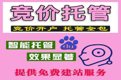百度竞价代运营公司成功案例揭秘：策略与执行
